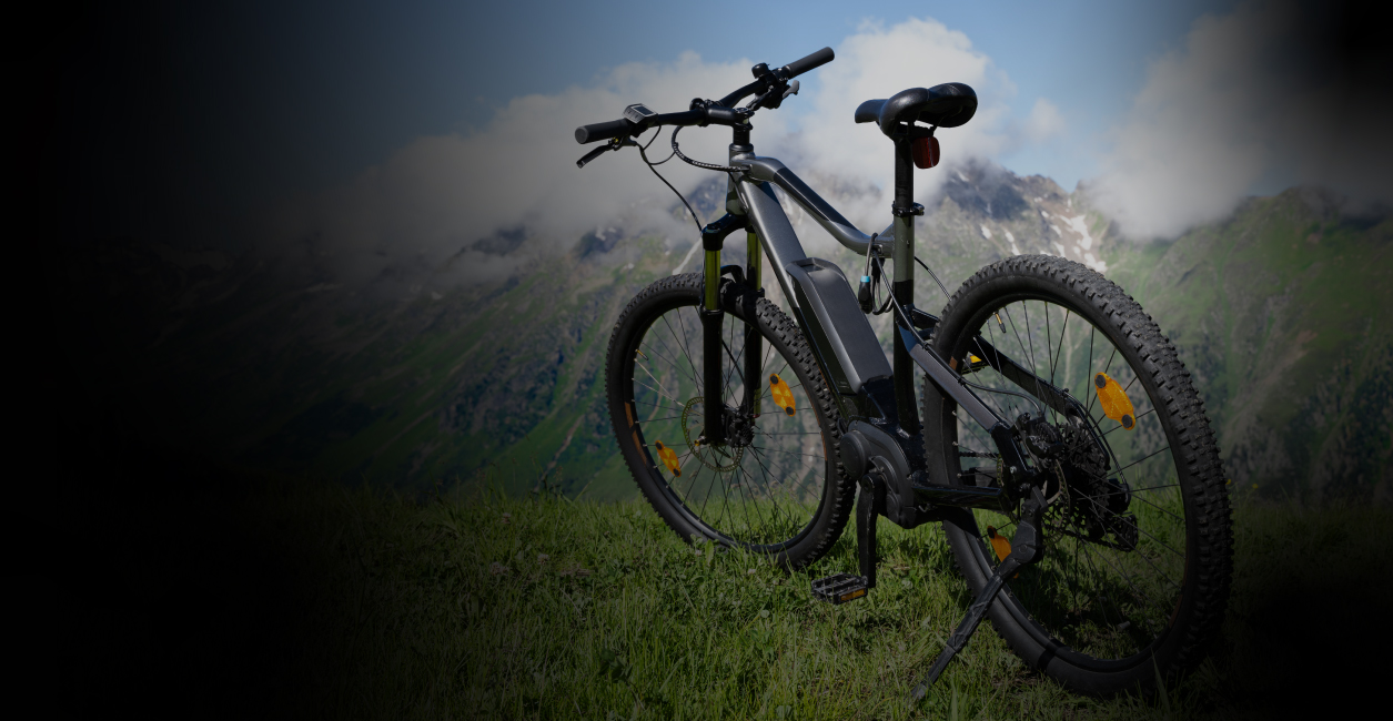 Gazelle Velo Boutique -Gazelle Velo Boutique 310837 Web TROTTICYCLE ELEK Image 14