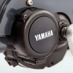 Babboe Curve Mountain -Gazelle Velo Boutique babooe curve mountain 4