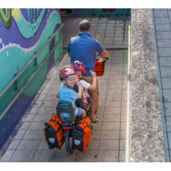 Vélo Cargo électrique Bike 43 Performance -Gazelle Velo Boutique velo cargo electrique bike 43 performance 1