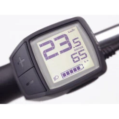 Vélo électrique Electra Townie Go! 5i EQ Step-Thru -Gazelle Velo Boutique velo electrique electra townie go 5i eq step thru 3