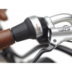 Vélo électrique Electra Townie Go! 5i EQ Step-Thru -Gazelle Velo Boutique velo electrique electra townie go 5i eq step thru 5