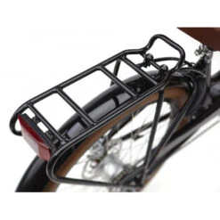 Vélo électrique Electra Townie Go! 5i EQ Step-Thru -Gazelle Velo Boutique velo electrique electra townie go 5i eq step thru 6