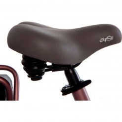 Vélo électrique Familial CORTINA E-U4 Family 7v -Gazelle Velo Boutique velo electrique familial cortina e u4 family 7v 5