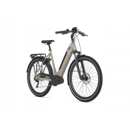 Vélo électrique Gazelle Ultimate T10 HMB 2022 3 Vélo électrique Gazelle Ultimate T10 HMB 2022 – Image 2