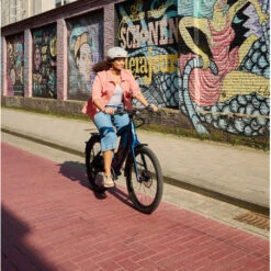 Vélo électrique STROMER ST1 - 2022 - Deep Petrol - Sport - L - 618Wh - KINEKT -Gazelle Velo Boutique velo electrique stromer st1 2022 deep petrol sport l 618wh kinekt 3